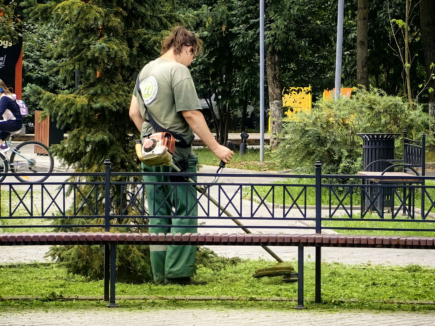 Газон, трава, сквер, улица