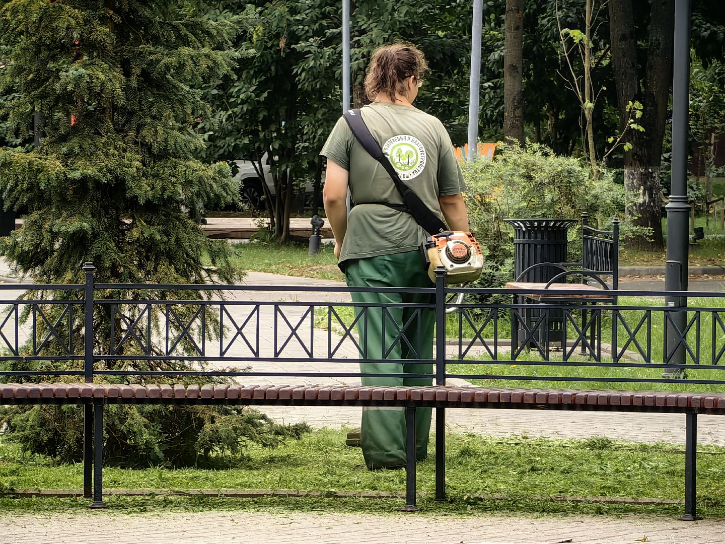 Газон, трава, сквер, улица