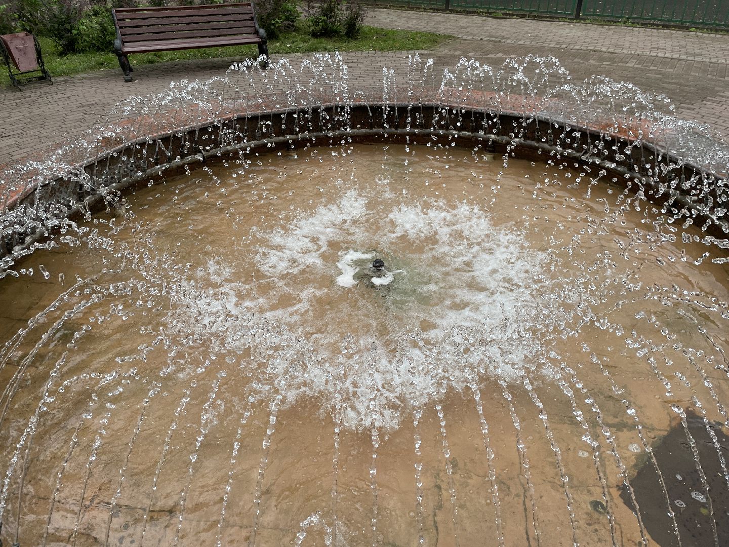 Фонтан, ремонт, восстановление, жители