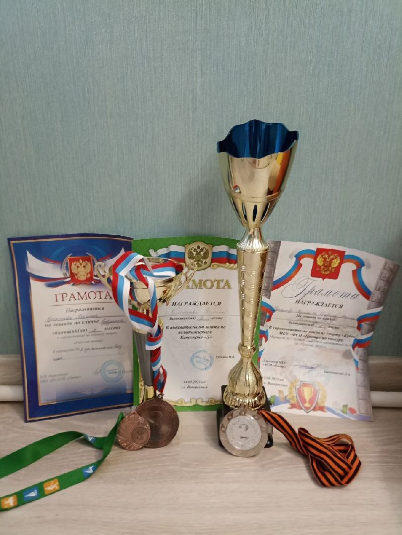 общество, Воскресенск, лошади, спорт, поколение