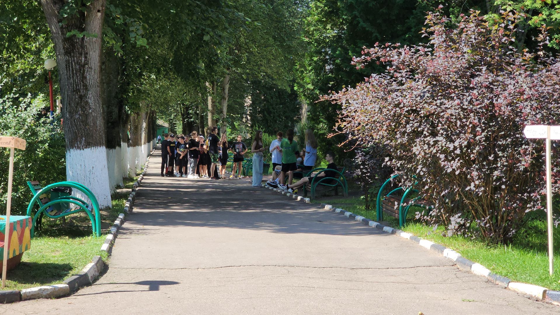 Пушкино, Пушкинский округ, безопасность, ПДН, Полиция, безопасность, спорт, дети, общество