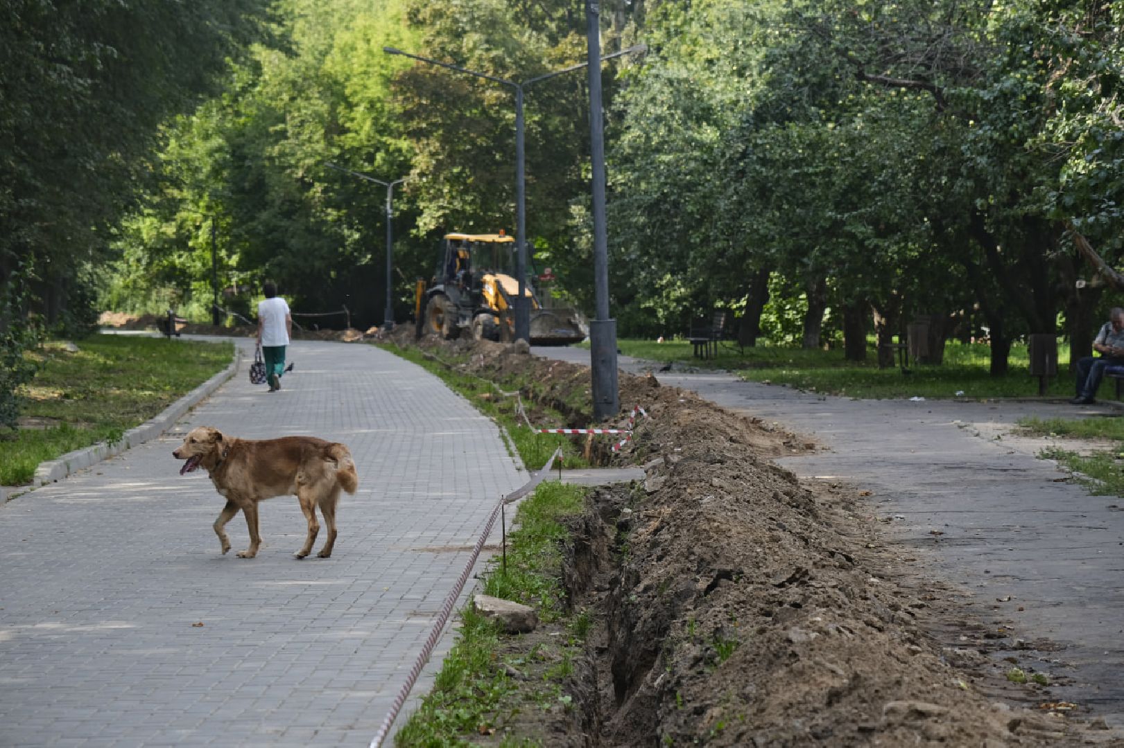 Пущино, светлый город