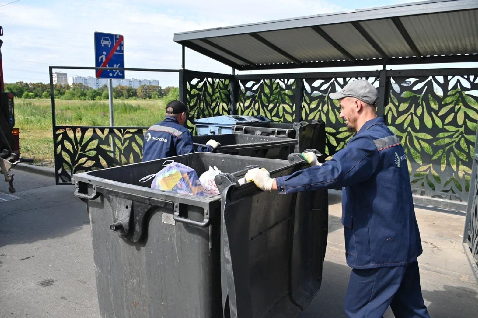 мусор, пушкино, разработка, деньги,