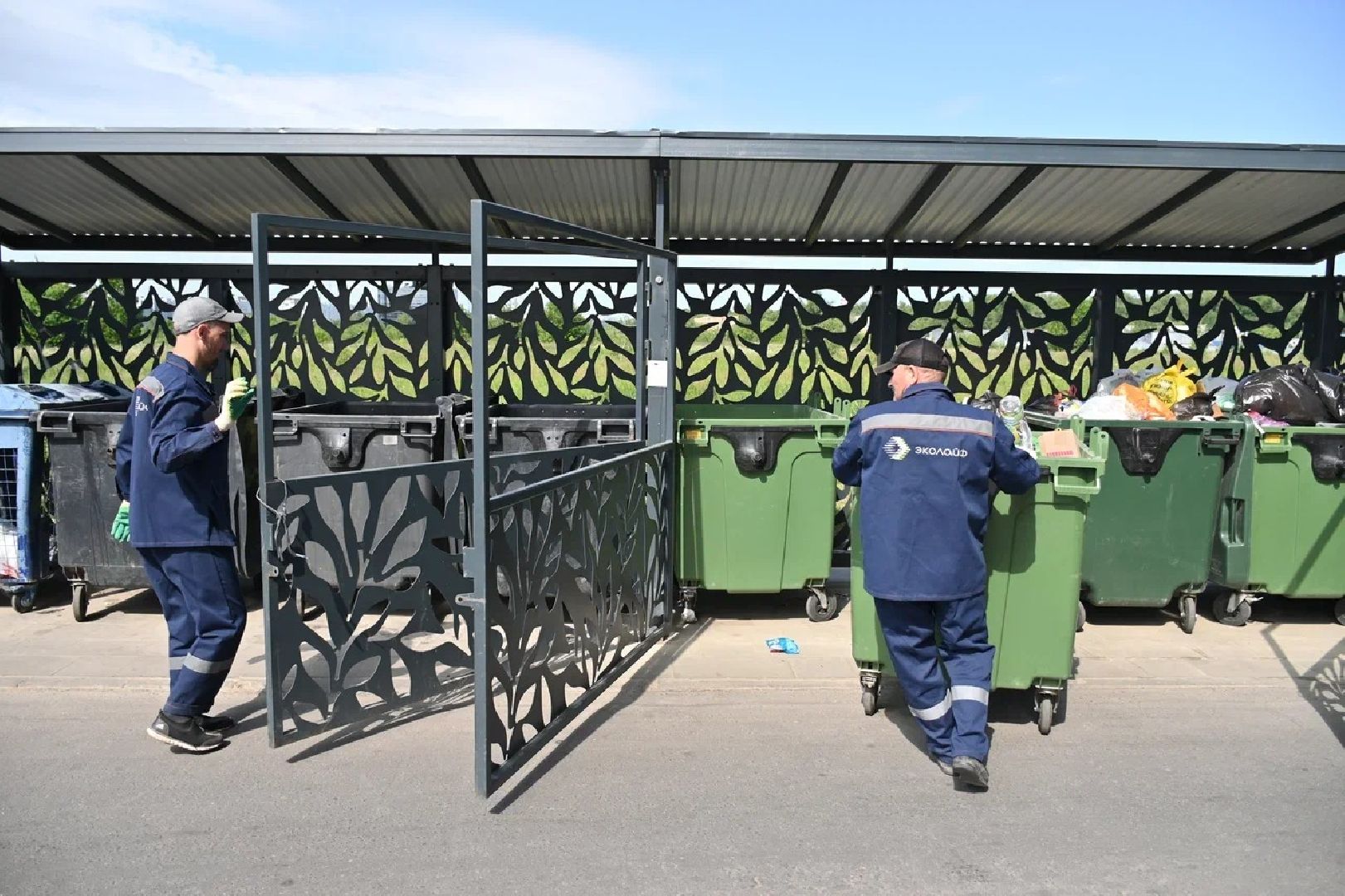 мусор, пушкино, разработка, деньги,