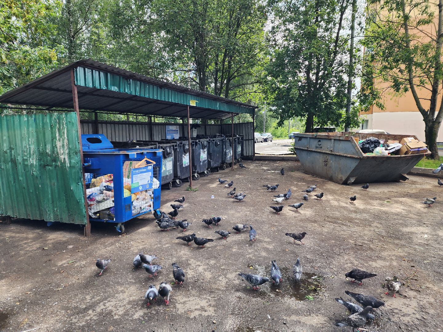 Красноармейск, Пушкинский, благоустройство дворов, обращения жителей