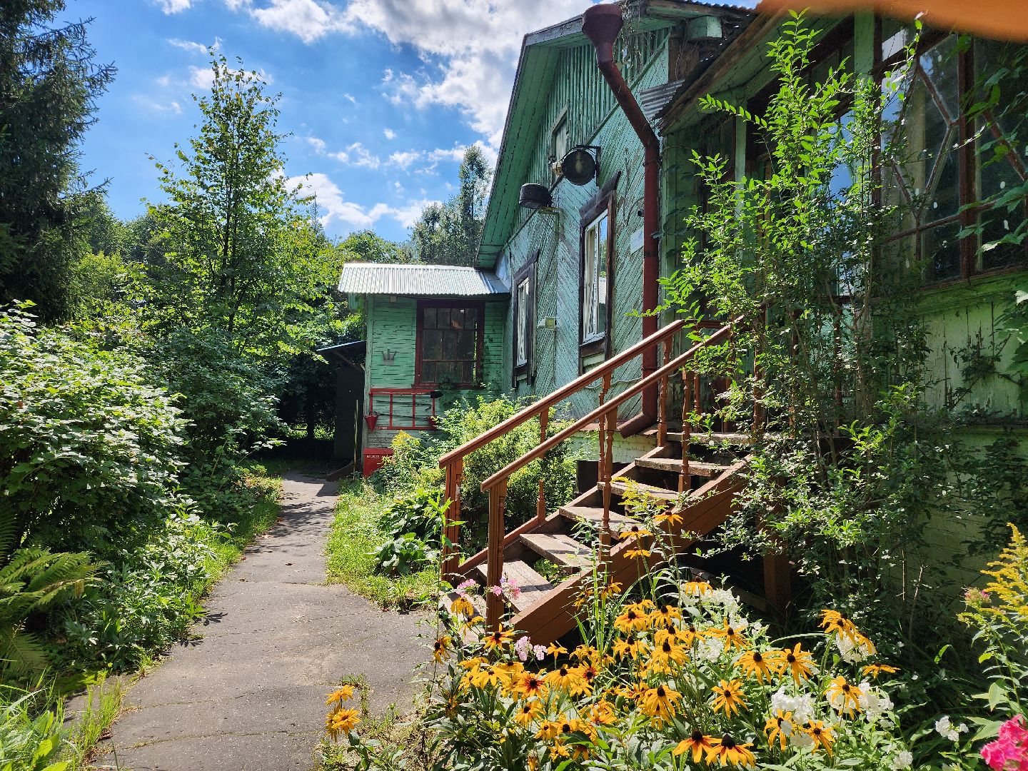 Активное долголетие, губернаторская программа, пенсионеры, Ногинск, Богородский городской округ