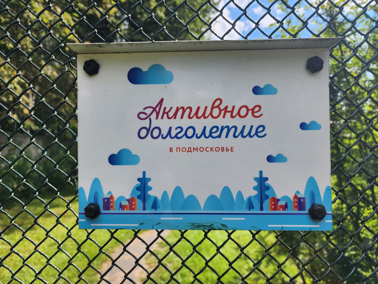 Активное долголетие, губернаторская программа, пенсионеры, Ногинск, Богородский городской округ