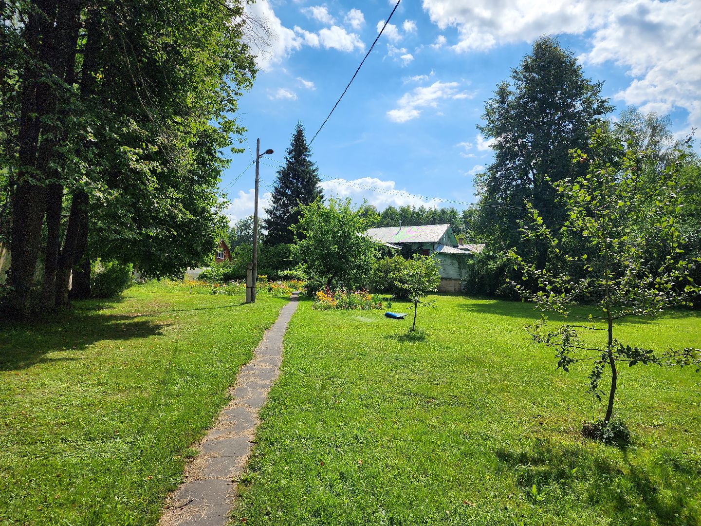 Активное долголетие, губернаторская программа, пенсионеры, Ногинск, Богородский городской округ