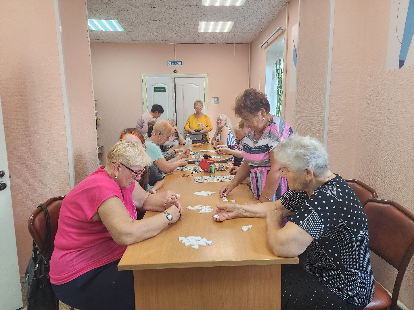 Активное долголетие, губернаторская программа, пенсионеры, Ногинск, Богородский городской округ