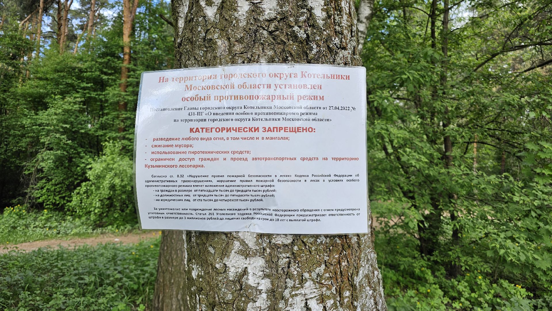 охрана природы, особый противопожарный режим, Кузьминский лесопарк, Котельники