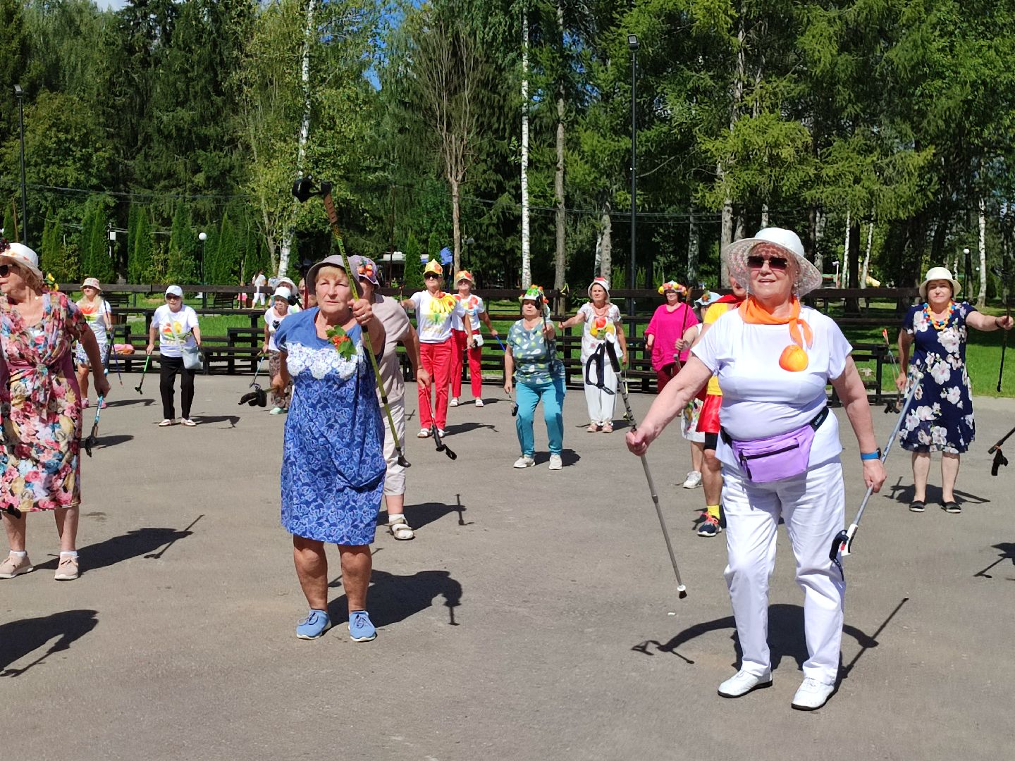 #активноедолголетие, #скандинавскаяходьба, #костюмированныйскандипроход, #талдом, #спорт