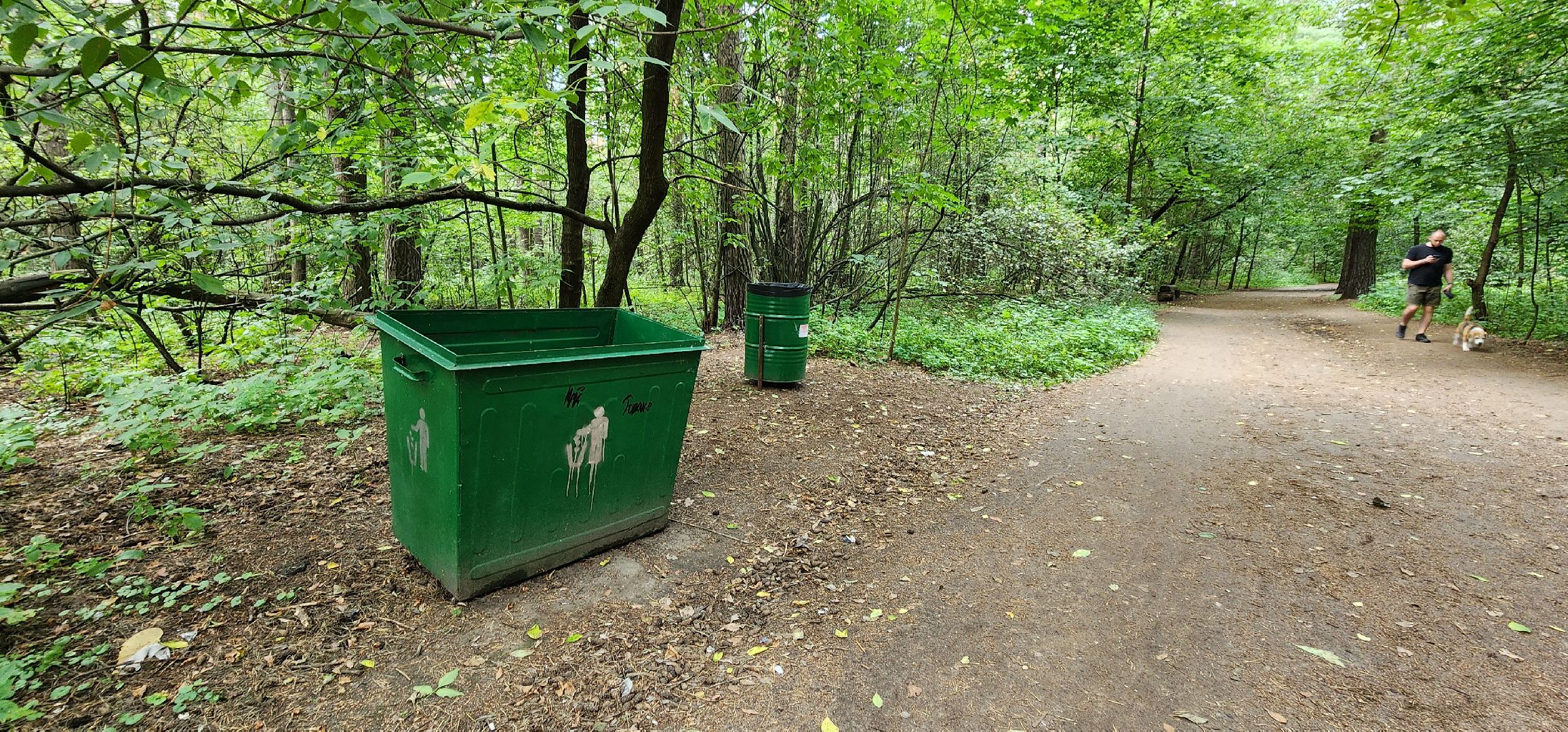 Кузьминский лесопарк, поваленные деревья, уборка в лесу, Котельники