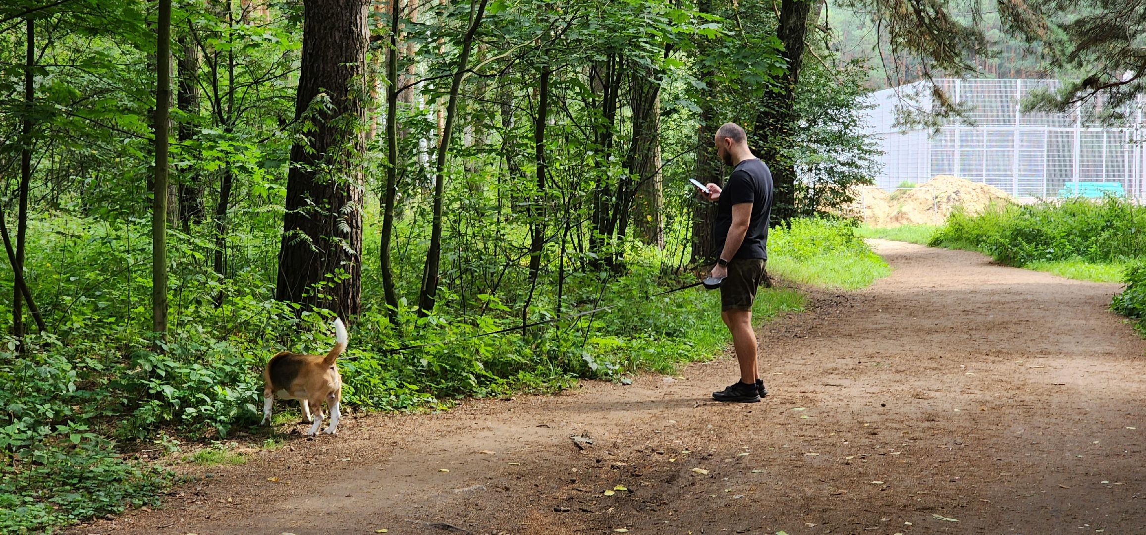 Кузьминский лесопарк, поваленные деревья, уборка в лесу, Котельники
