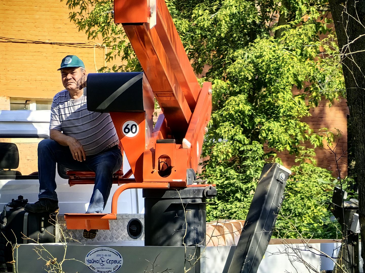 Сухостои, деревья, улица, спил