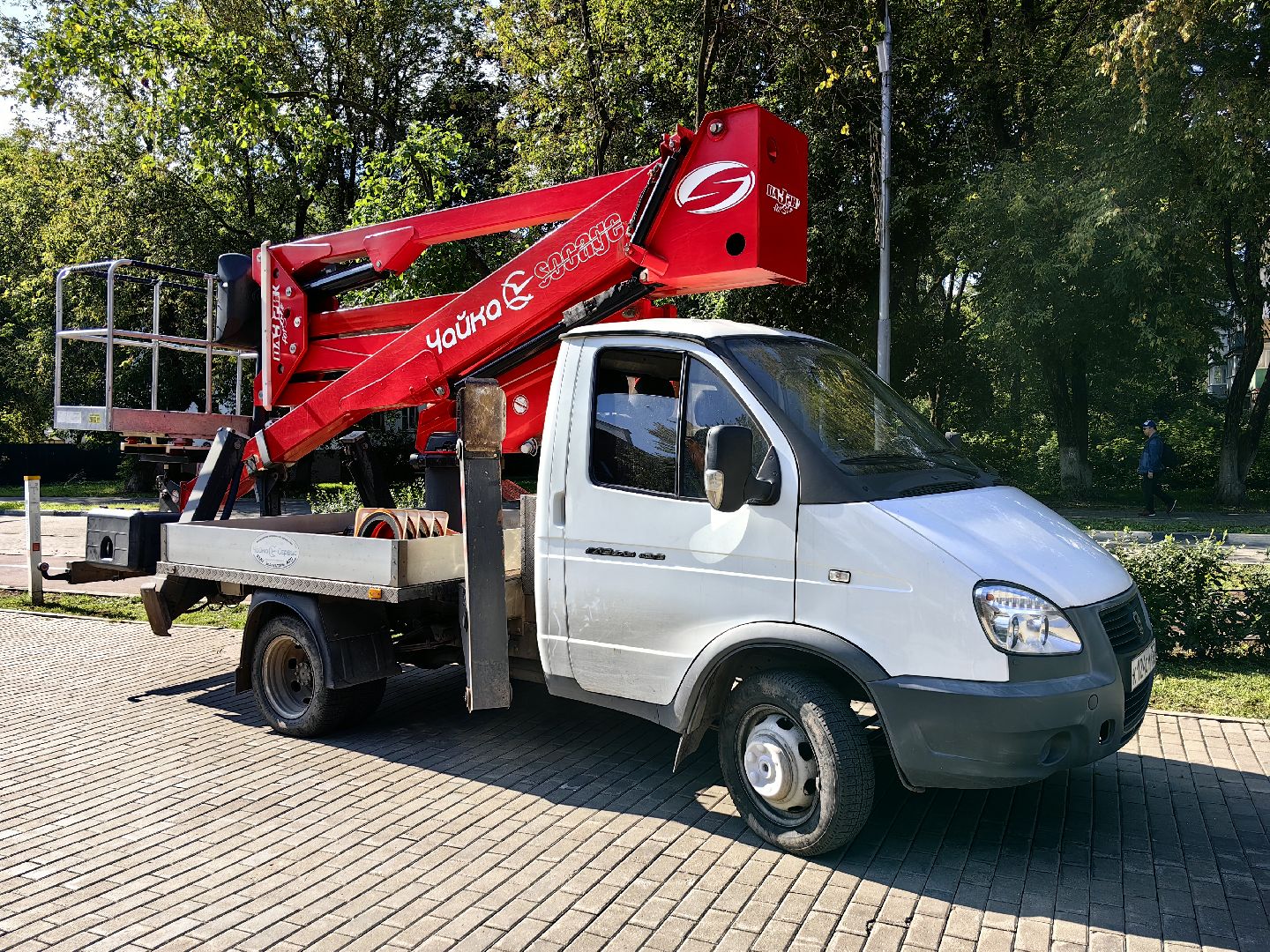 Сухостои, деревья, улица, спил