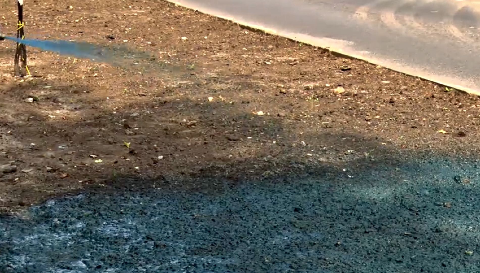 Клин, общество, благоустройство, перемены