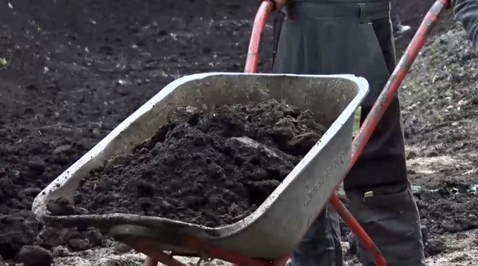 Клин, общество, благоустройство, перемены