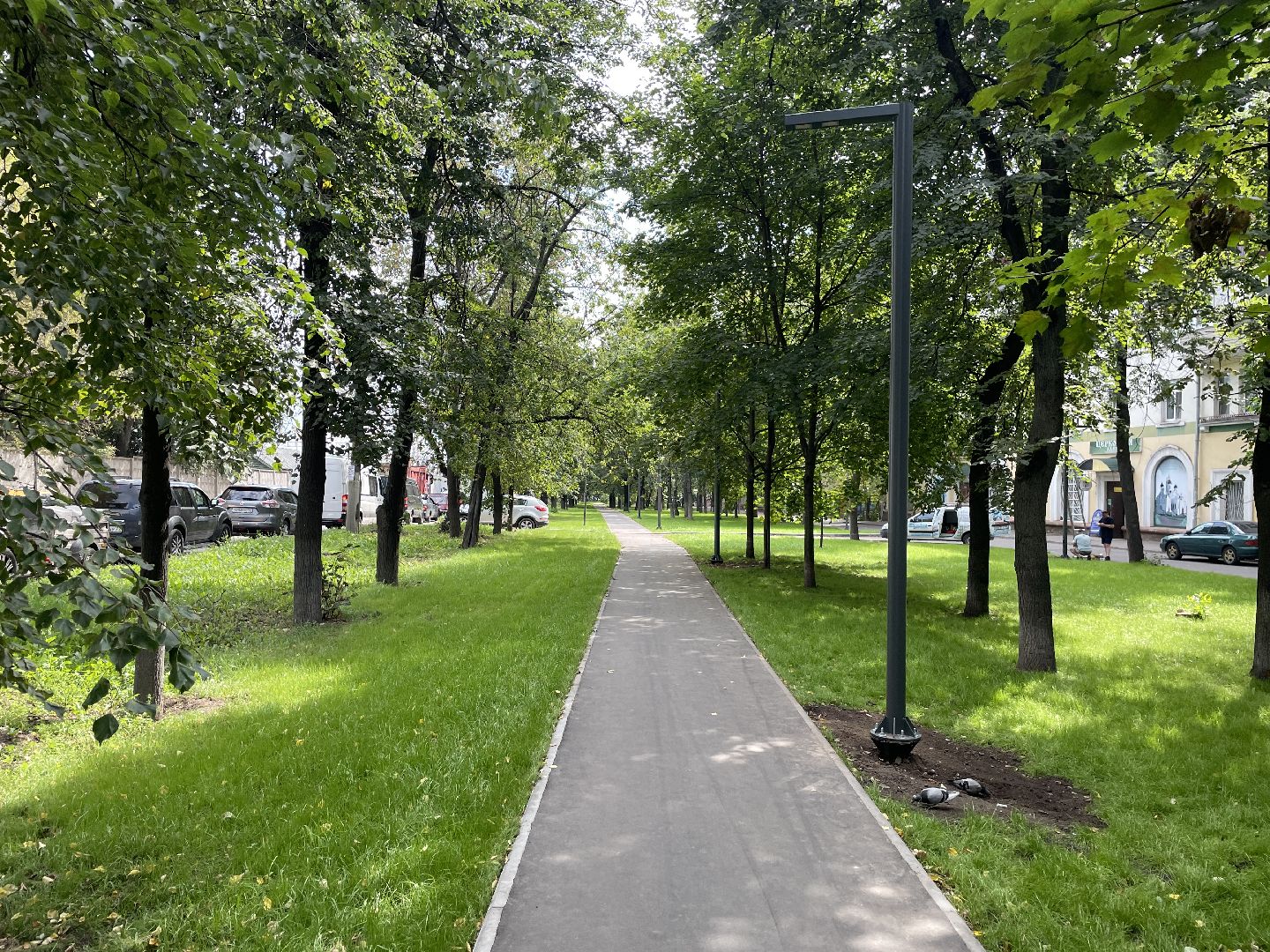 Кот, ремонт, благоустройство, МЦД