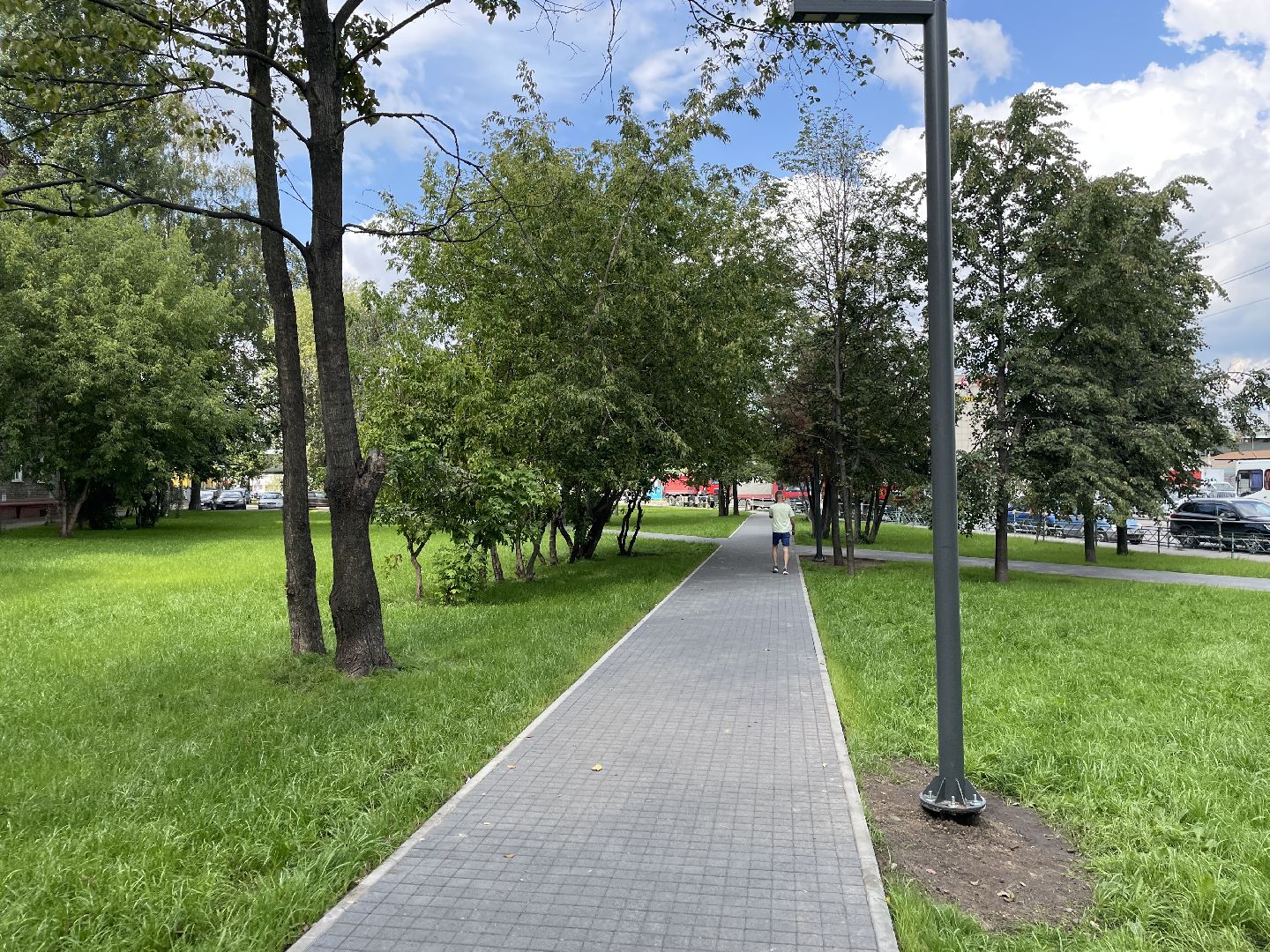 Кот, ремонт, благоустройство, МЦД