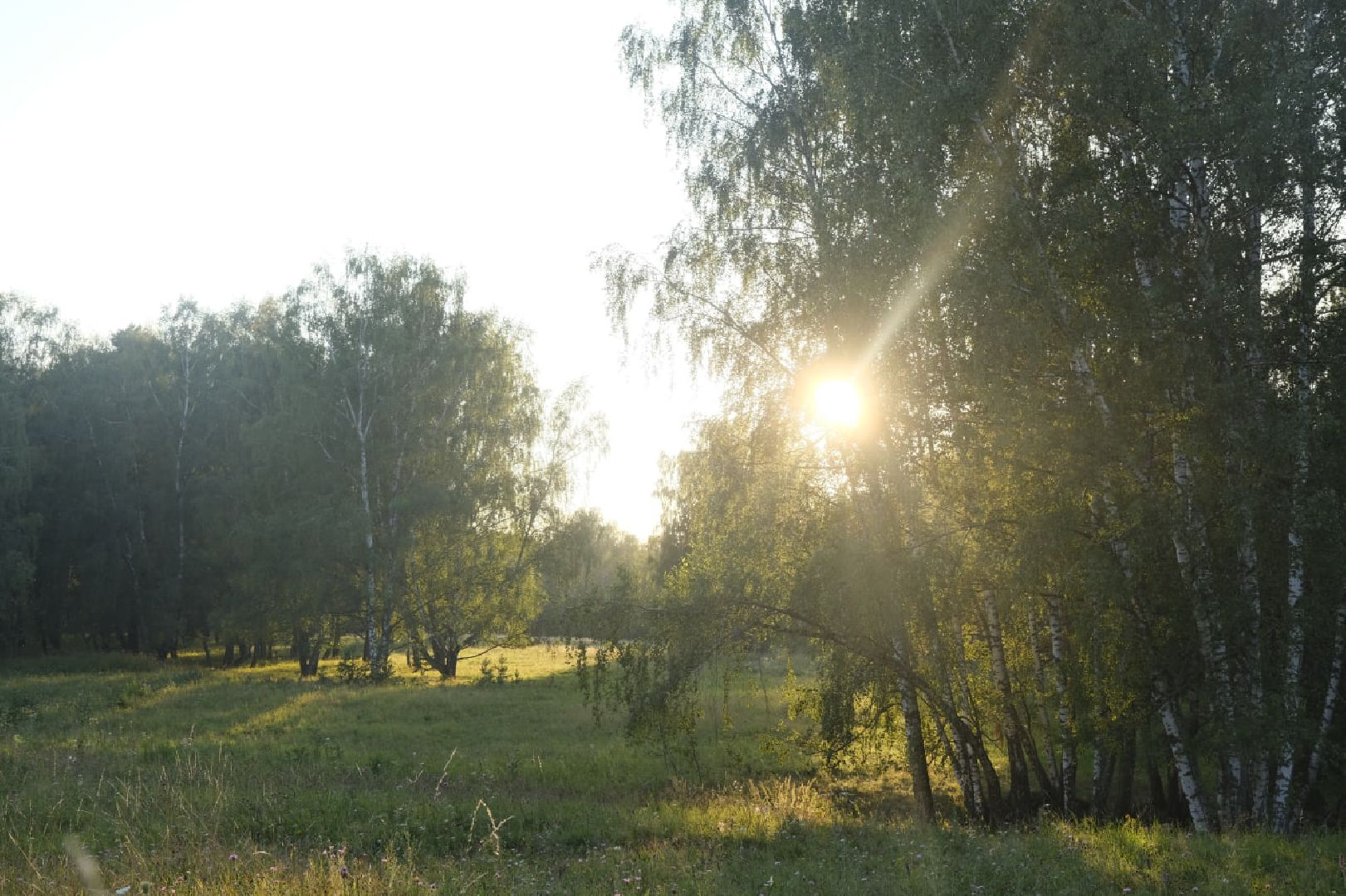 Пущино, наука, биология