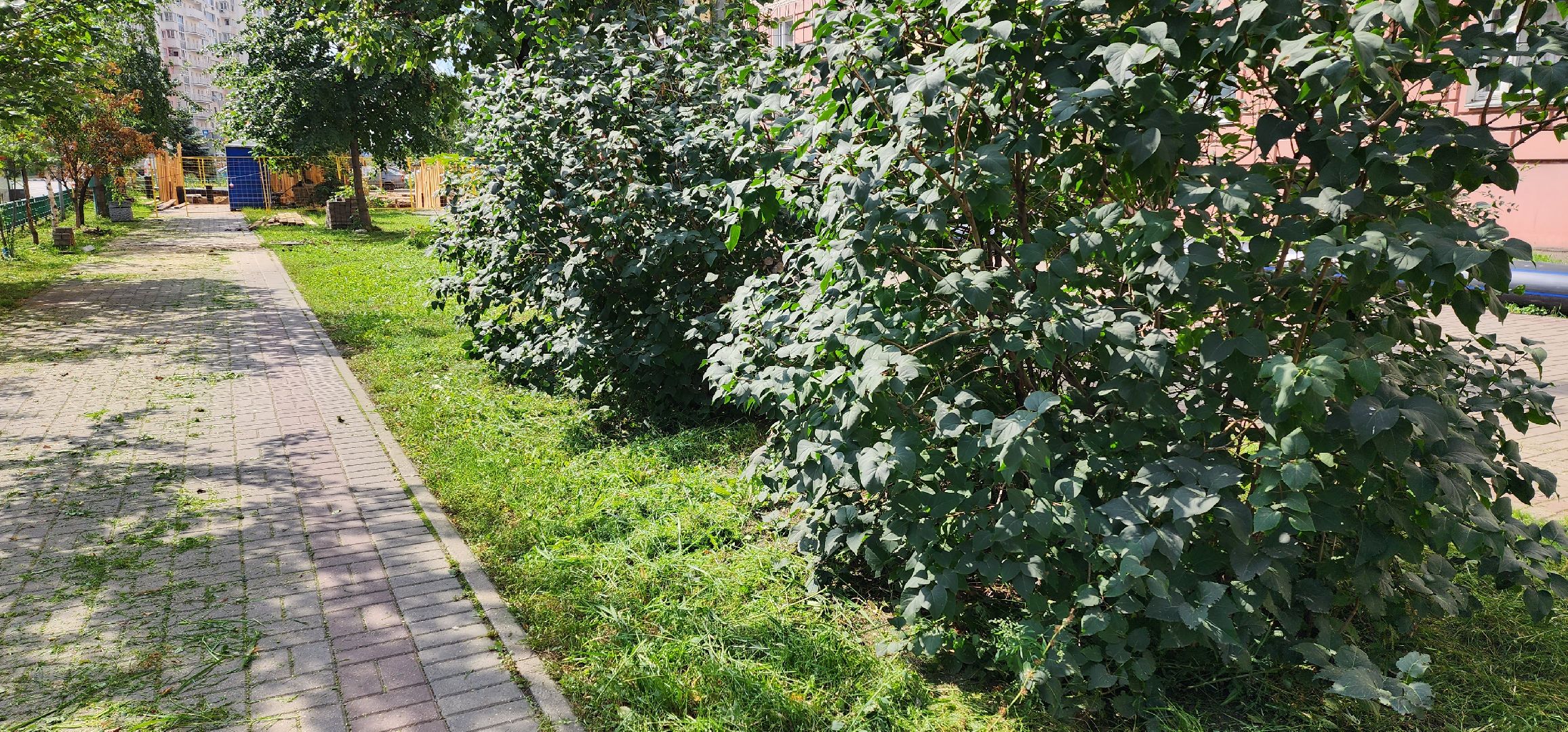покос травы, благоустройство, Котельники