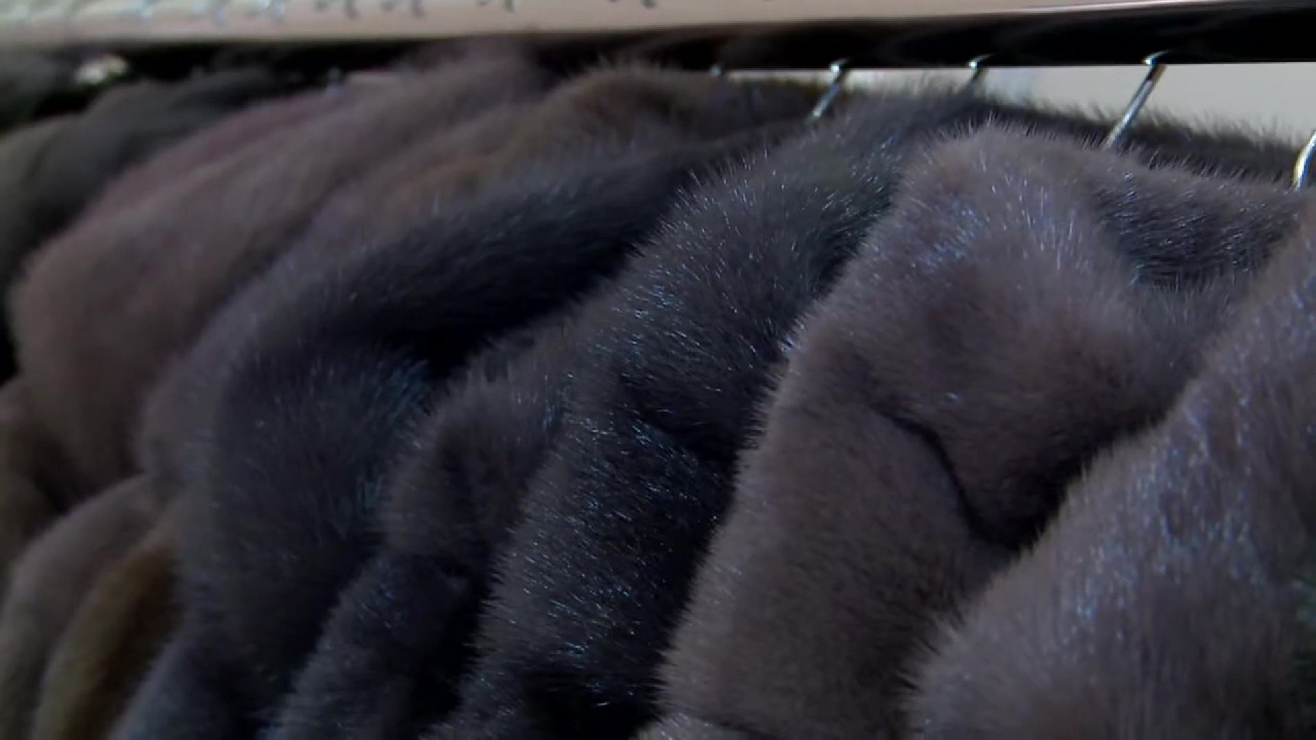 Реутов, экономика, санкции, производство, мех