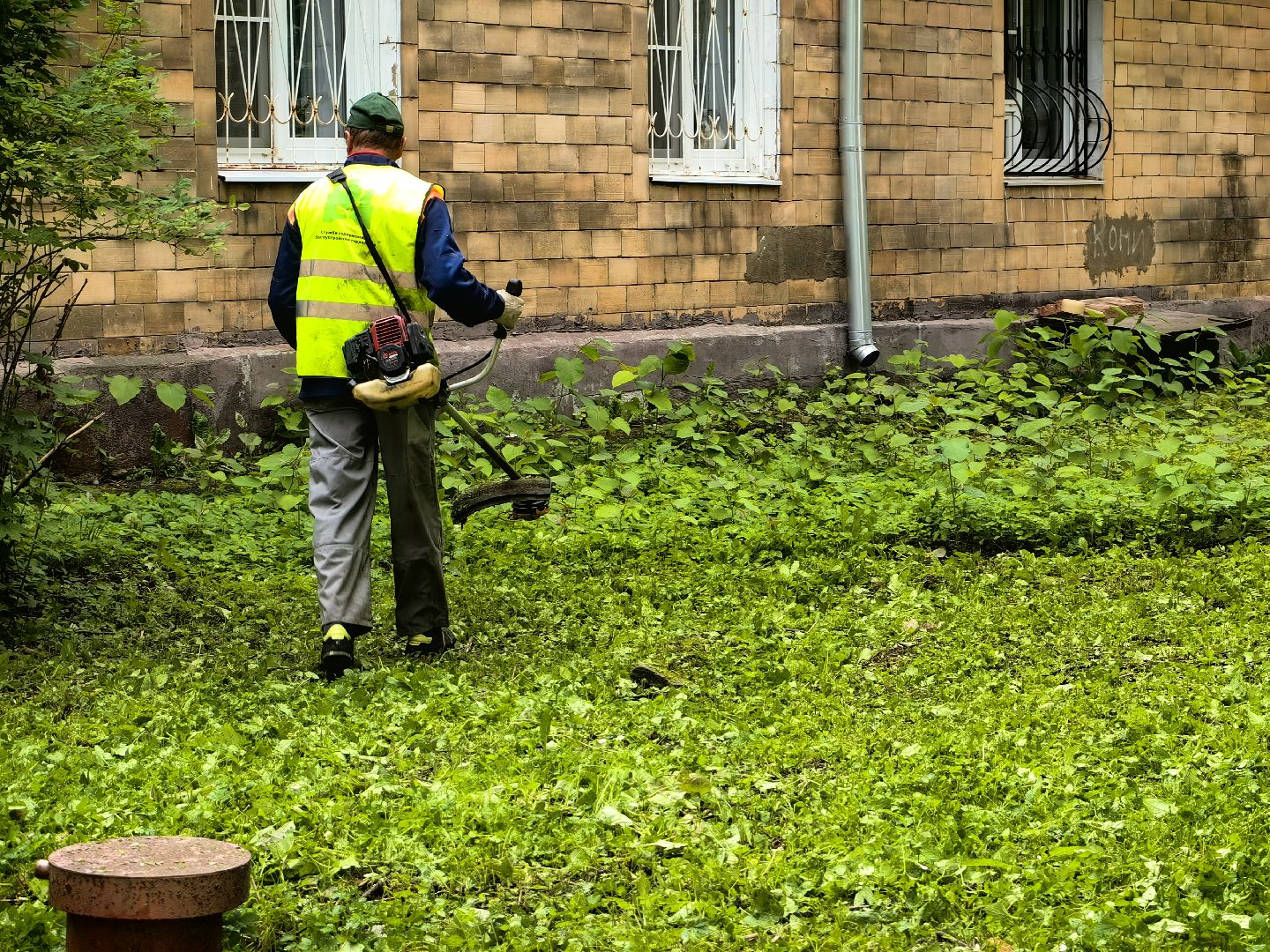 Газон, трава, стрижка, сквер, улица