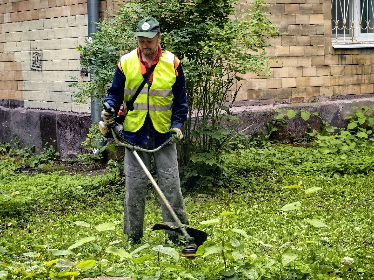 Газон, трава, стрижка, сквер, улица