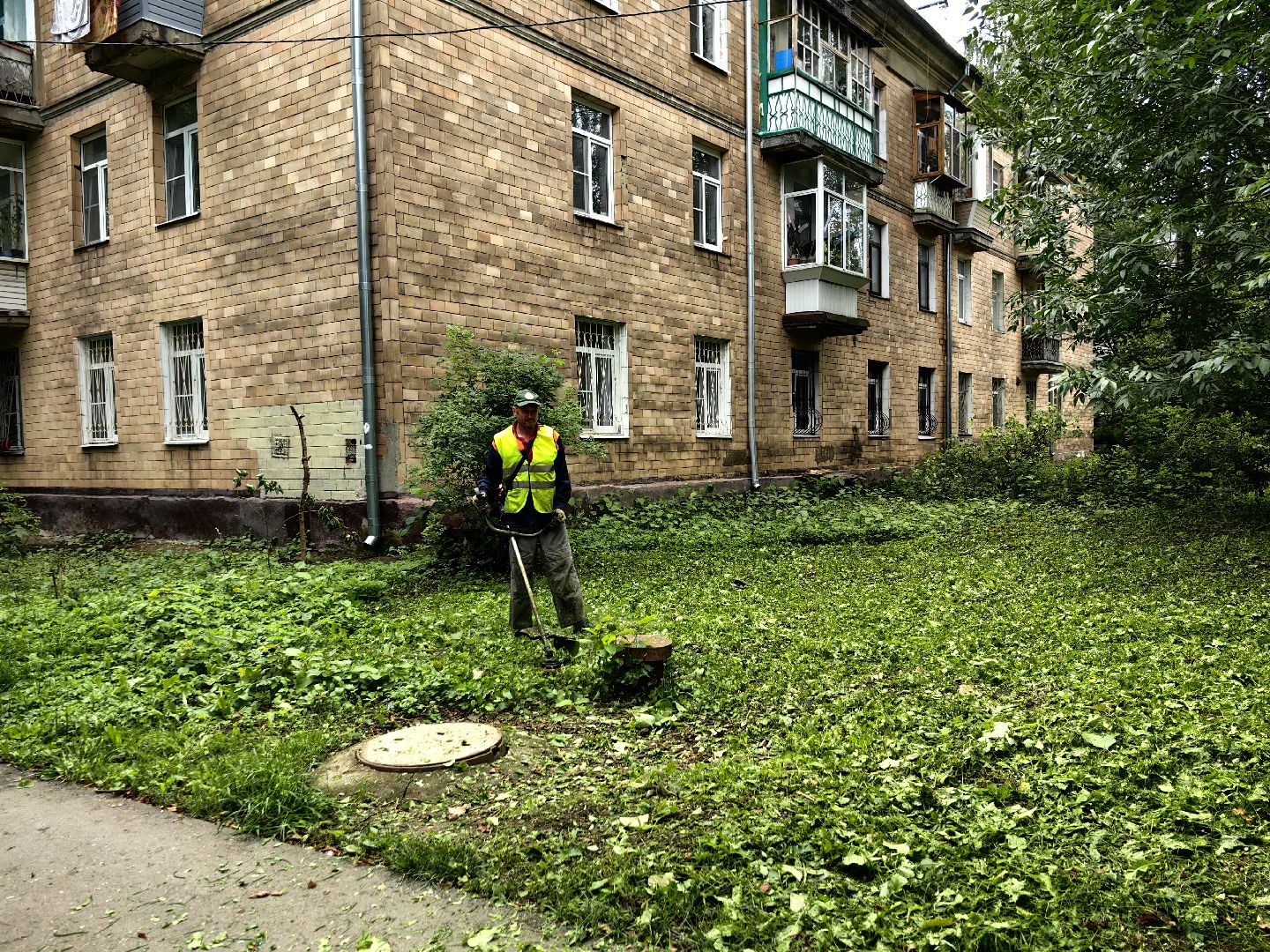 Газон, трава, стрижка, сквер, улица