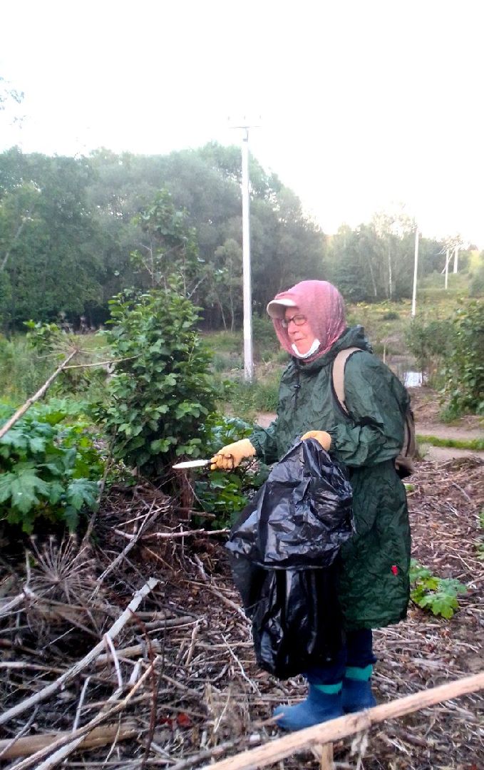 Пущино, экология, борщевик