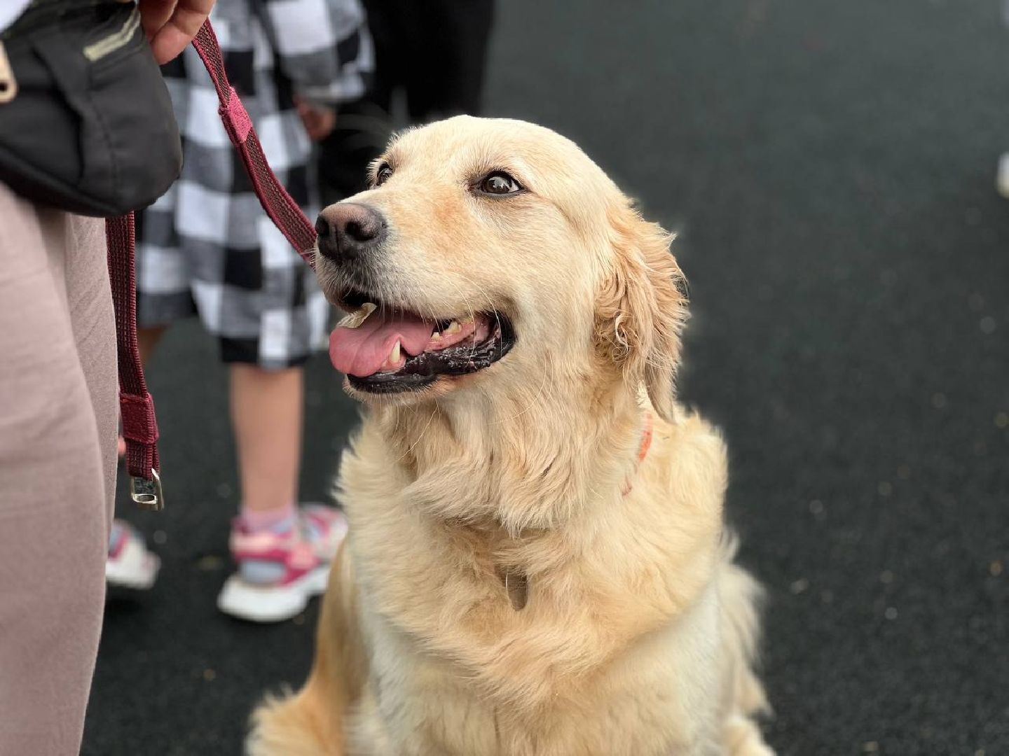 Подмосковье, Ивантеевка, дети