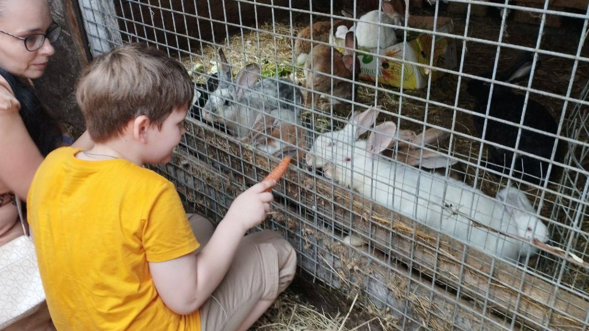 Подмосковье, Ивантеевка, дети