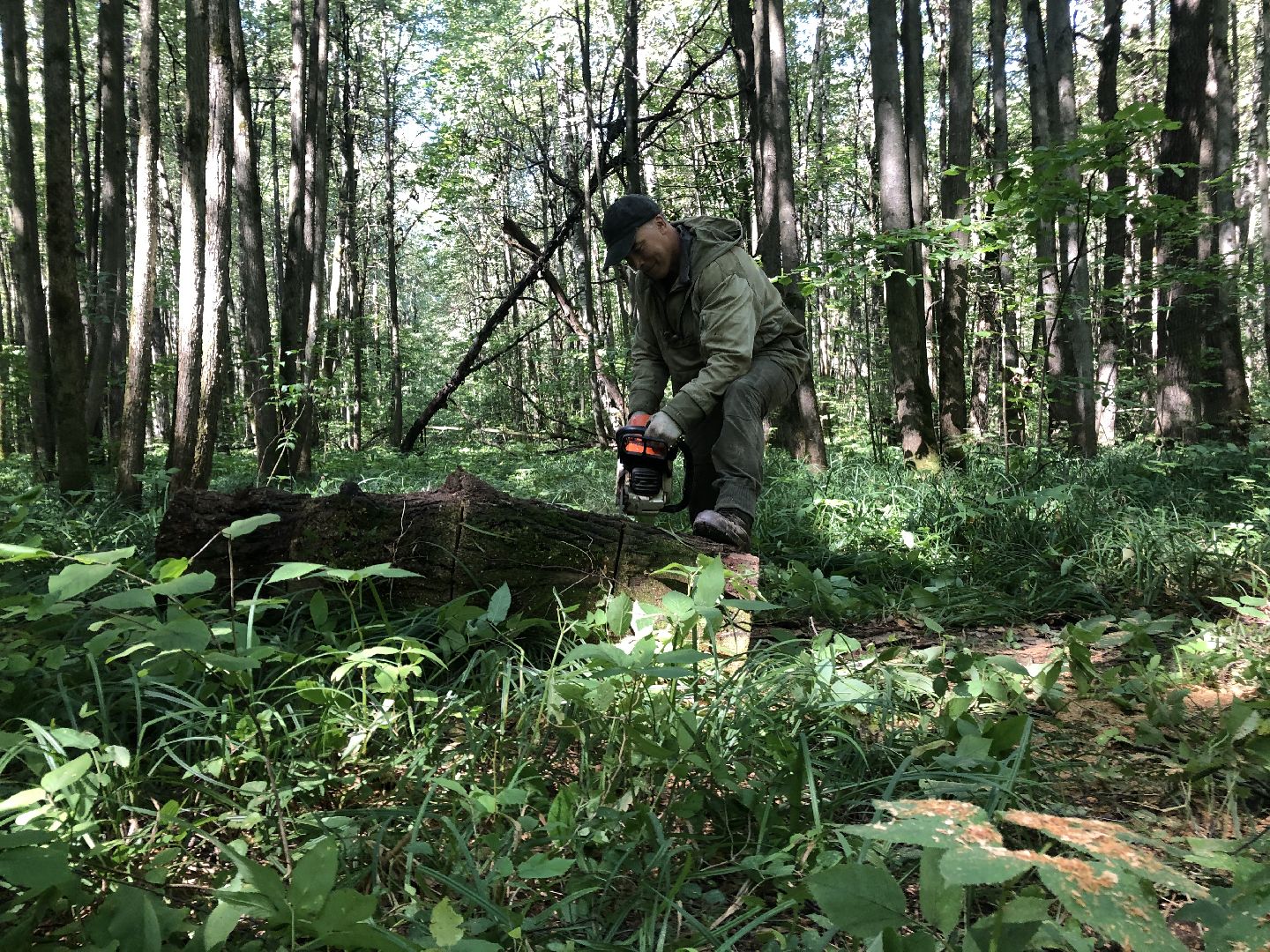 коломна, общество, природа
