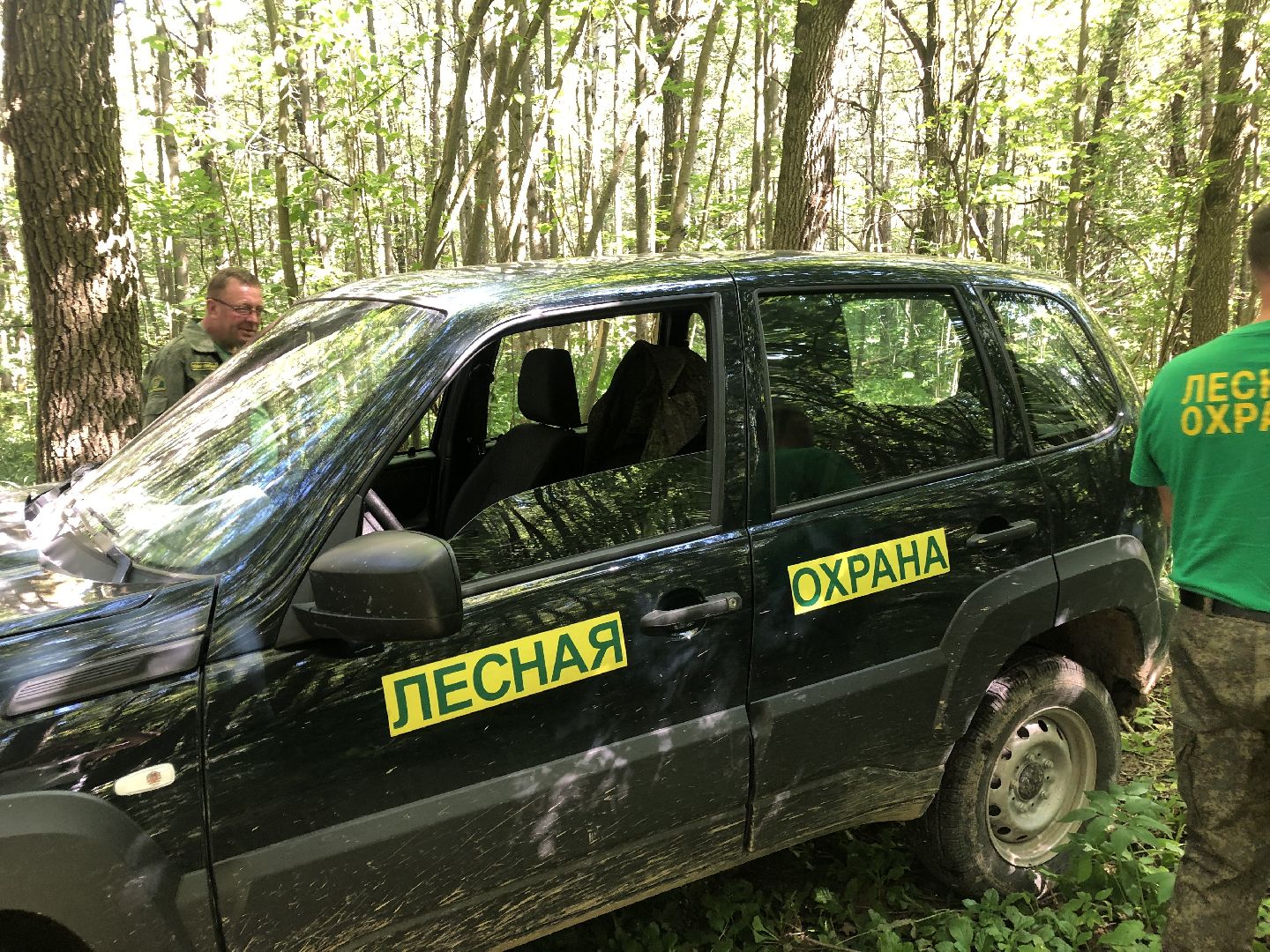 коломна, общество, природа