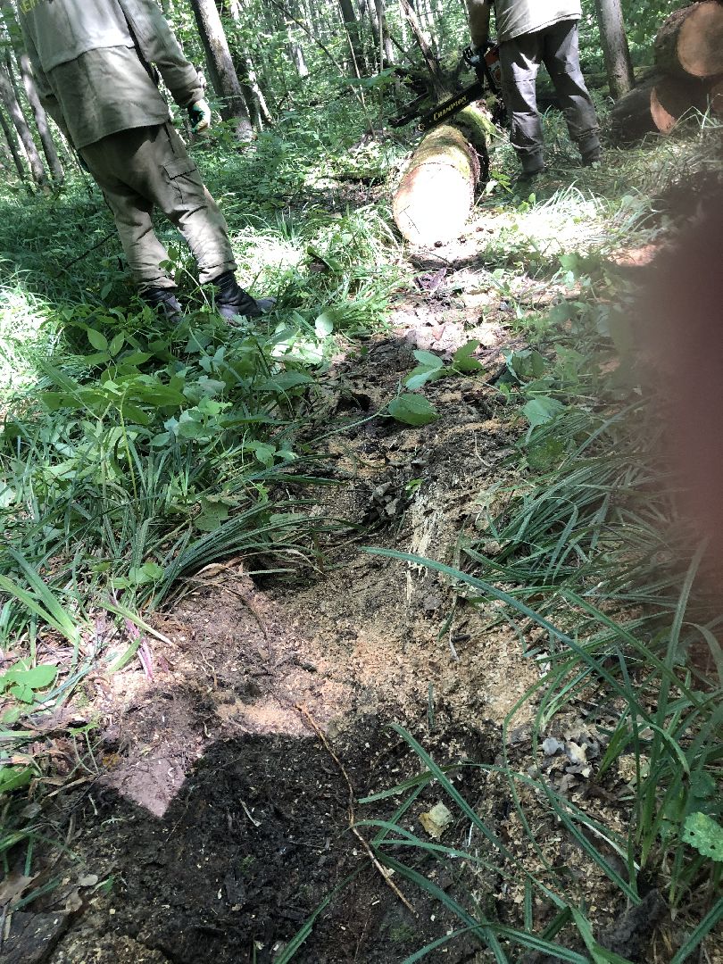 коломна, общество, природа