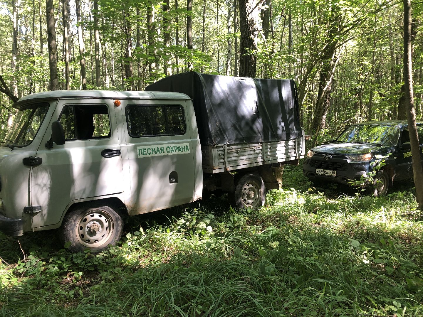 коломна, общество, природа