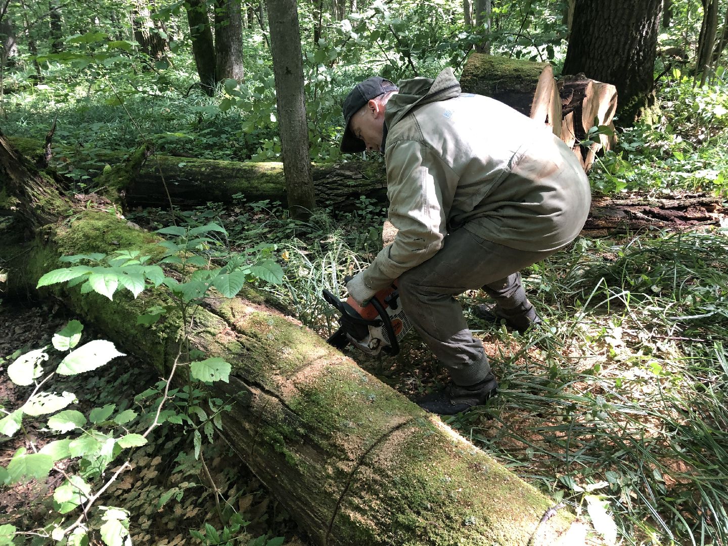 коломна, общество, природа