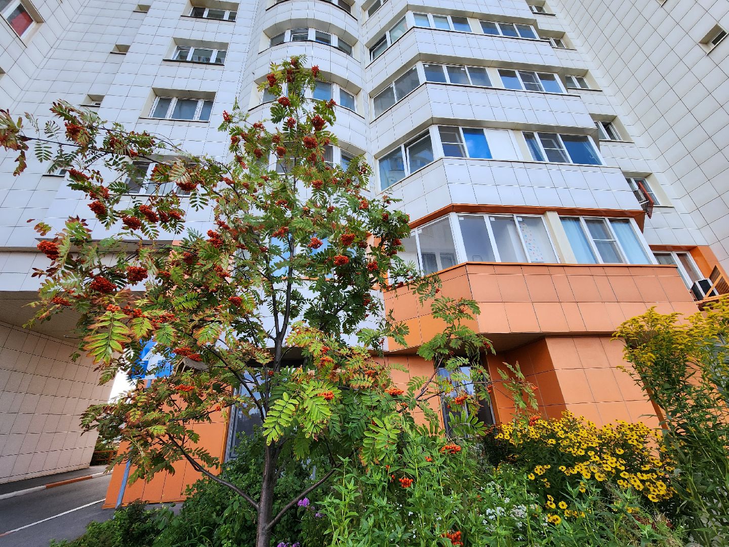 Одинцово, благоустройство, ГУСТ, конкурс,