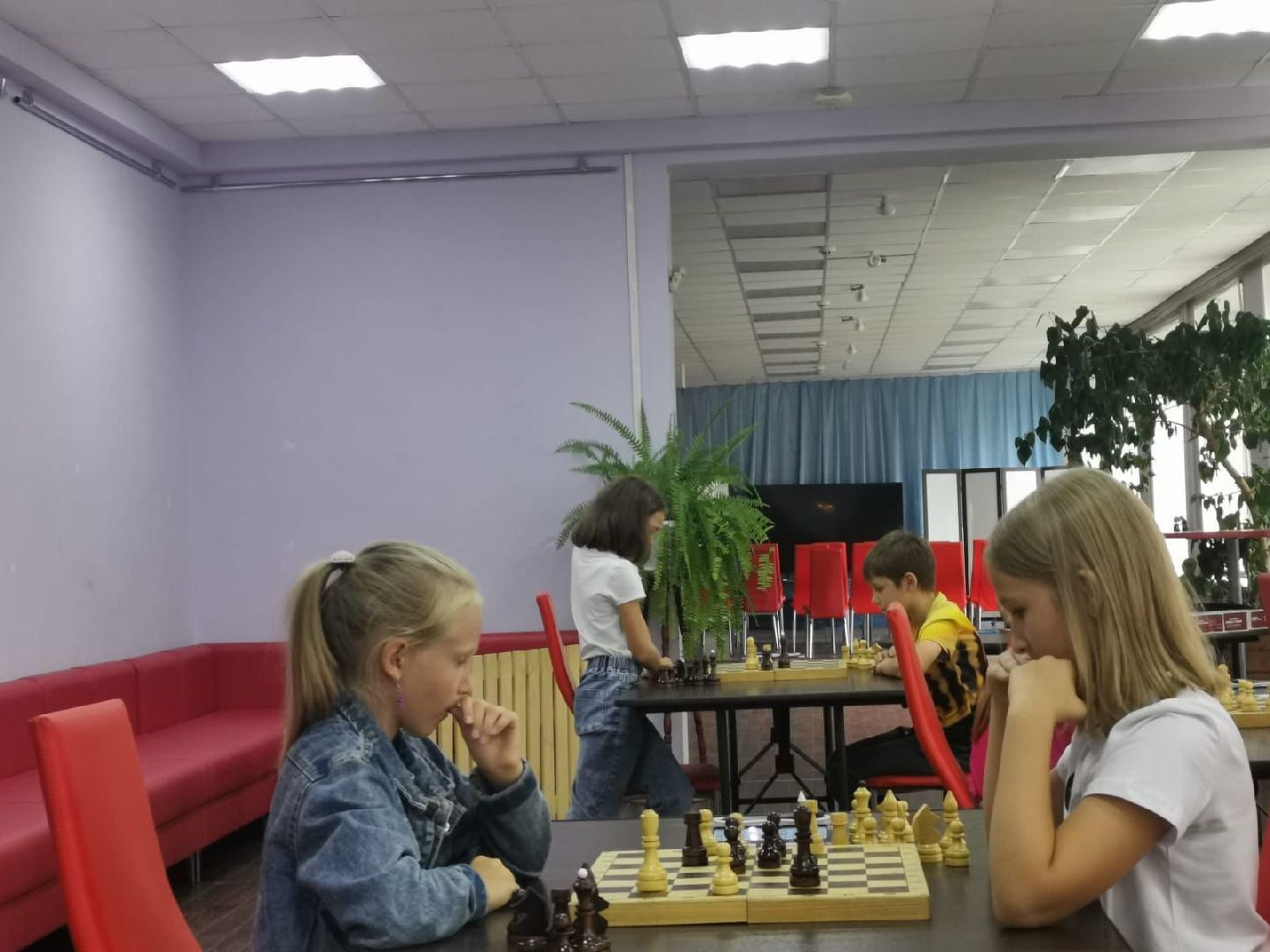 Шахматы, шахматный клуб, спорт, Ногинск, Богородский городской округ