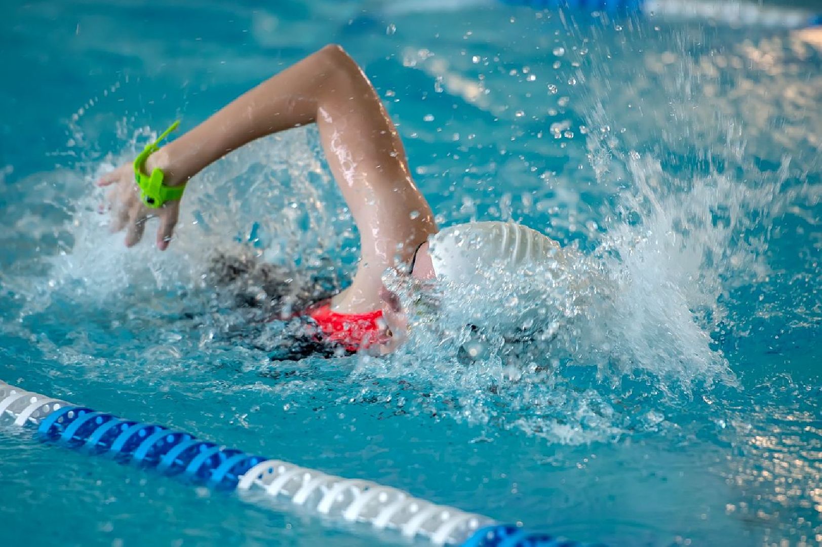 Подольск, спорт, плавание, фестиваль Московской области