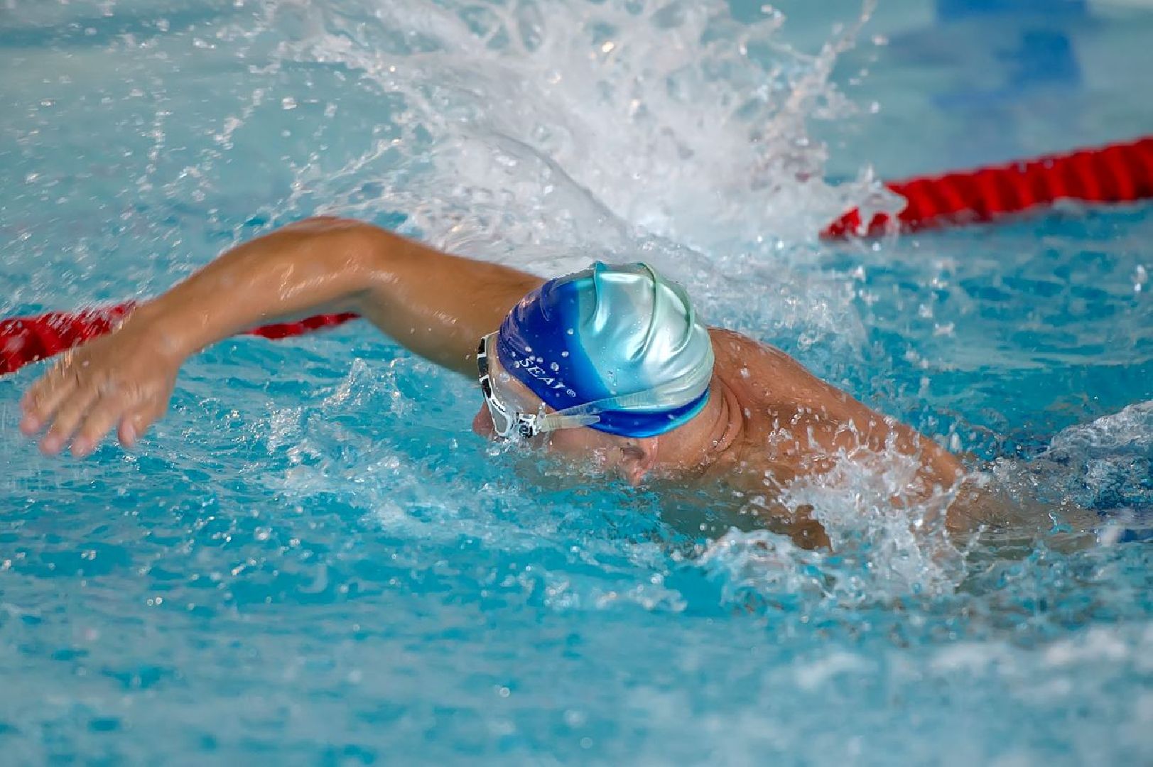 Подольск, спорт, плавание, фестиваль Московской области