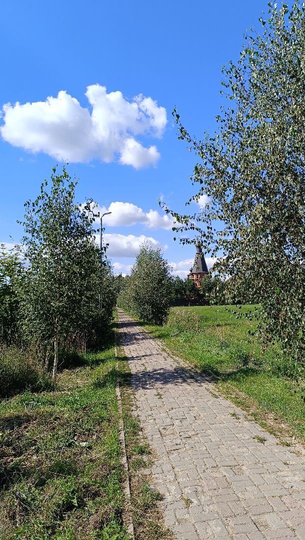 Лобня, освещение, храм