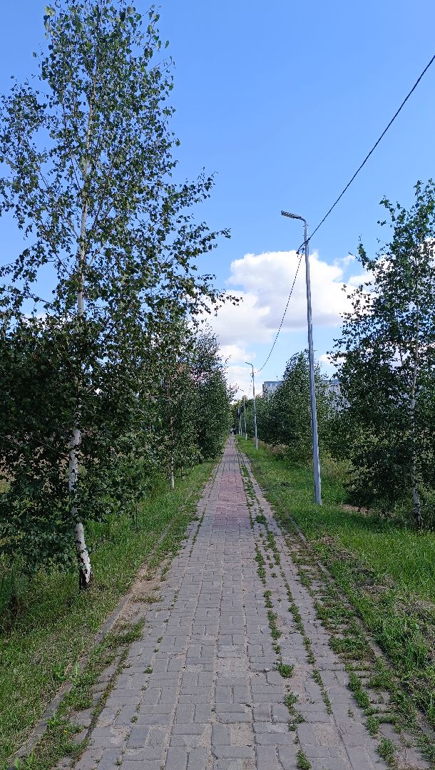 Лобня, освещение, храм