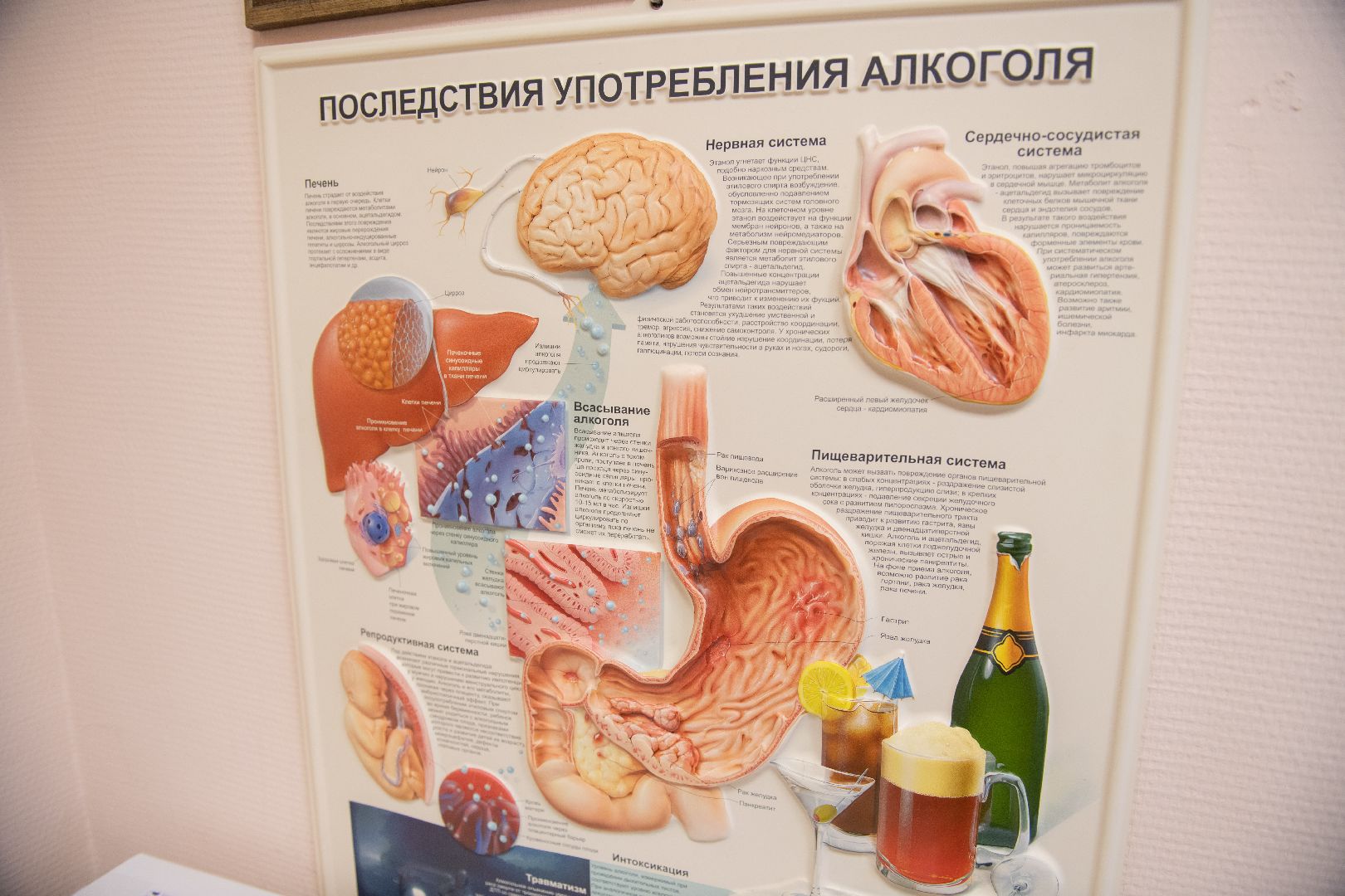 лыткарино, здоровье, алкоголь