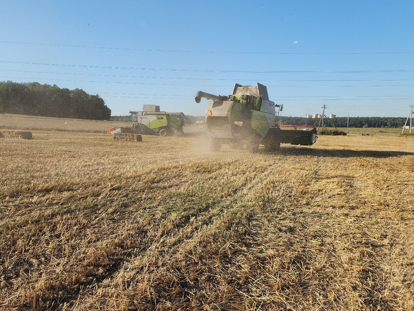 уборка озимых, Барыбино, Домодедово