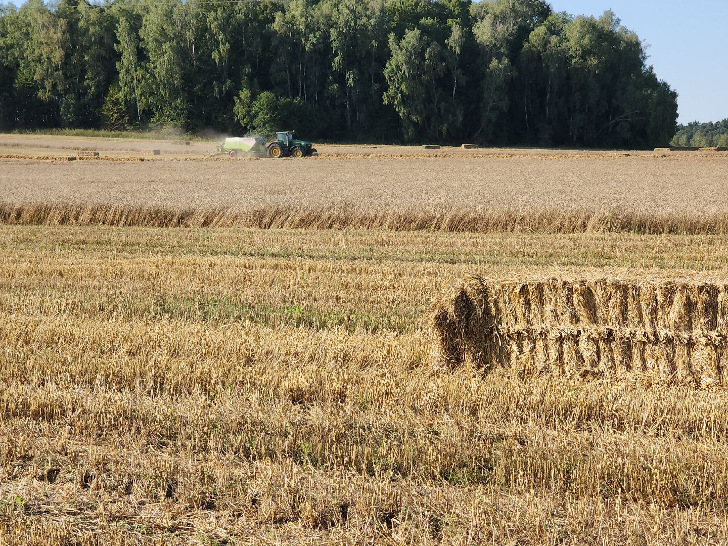 уборка озимых, Барыбино, Домодедово