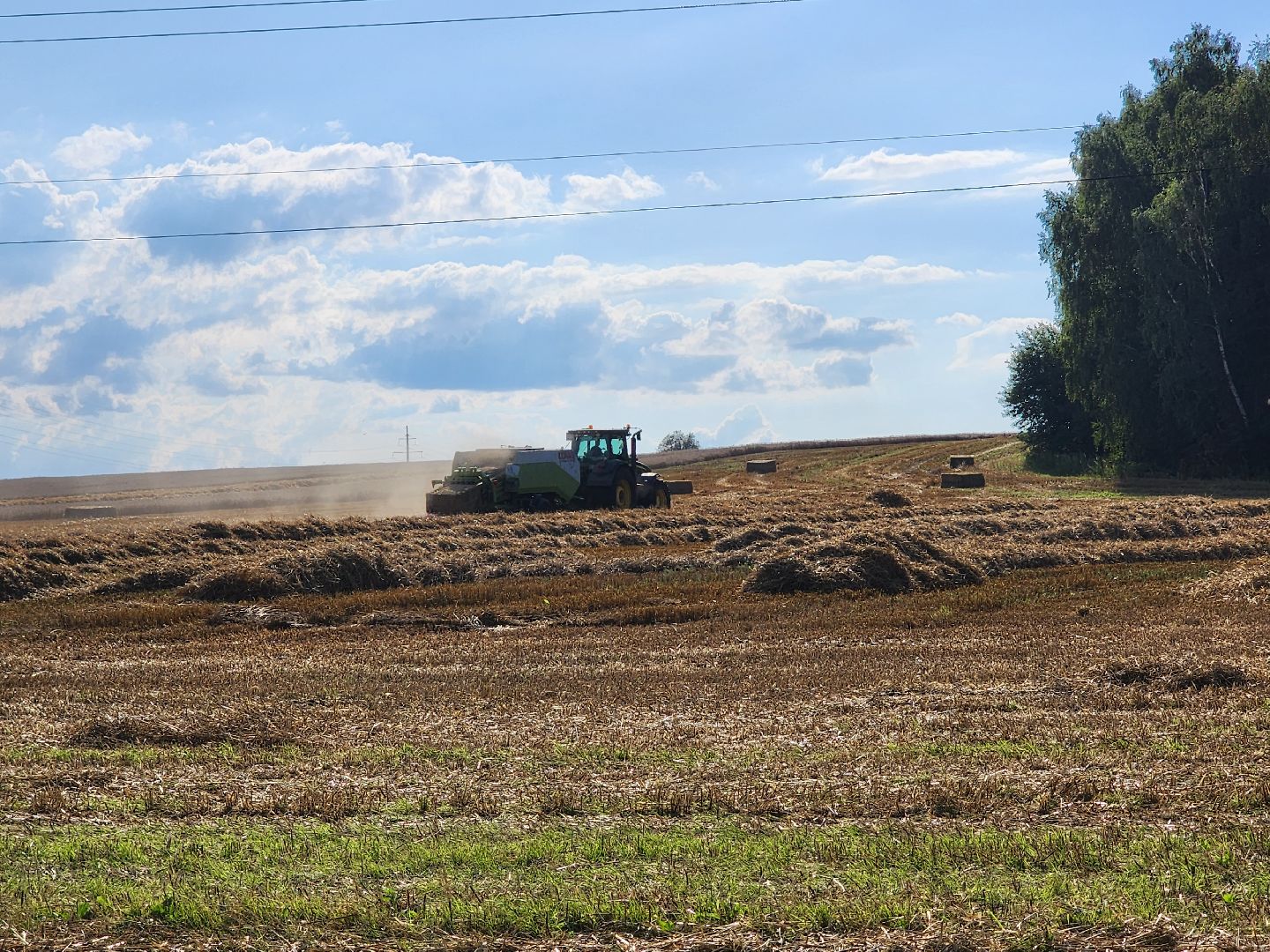 уборка озимых, Барыбино, Домодедово