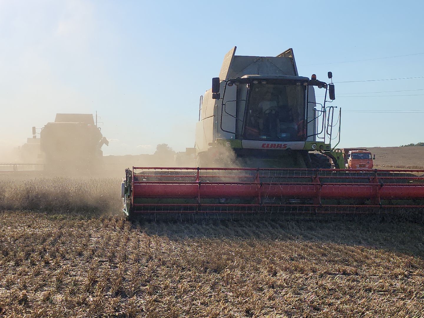 уборка озимых, Барыбино, Домодедово