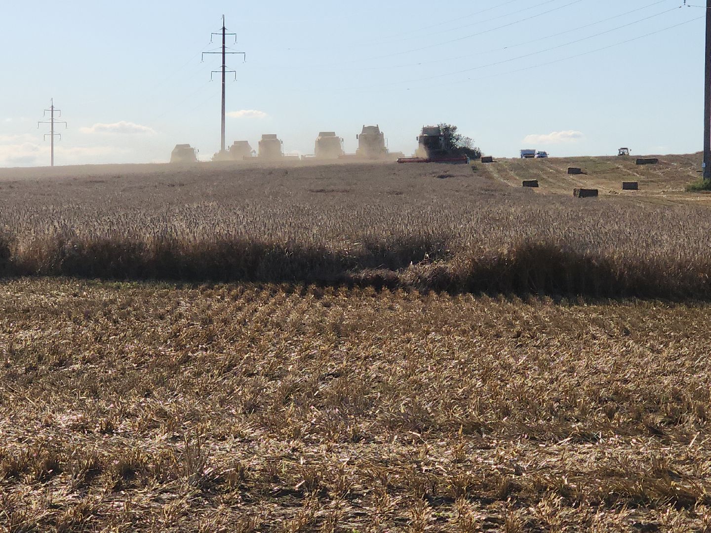 уборка озимых, Барыбино, Домодедово