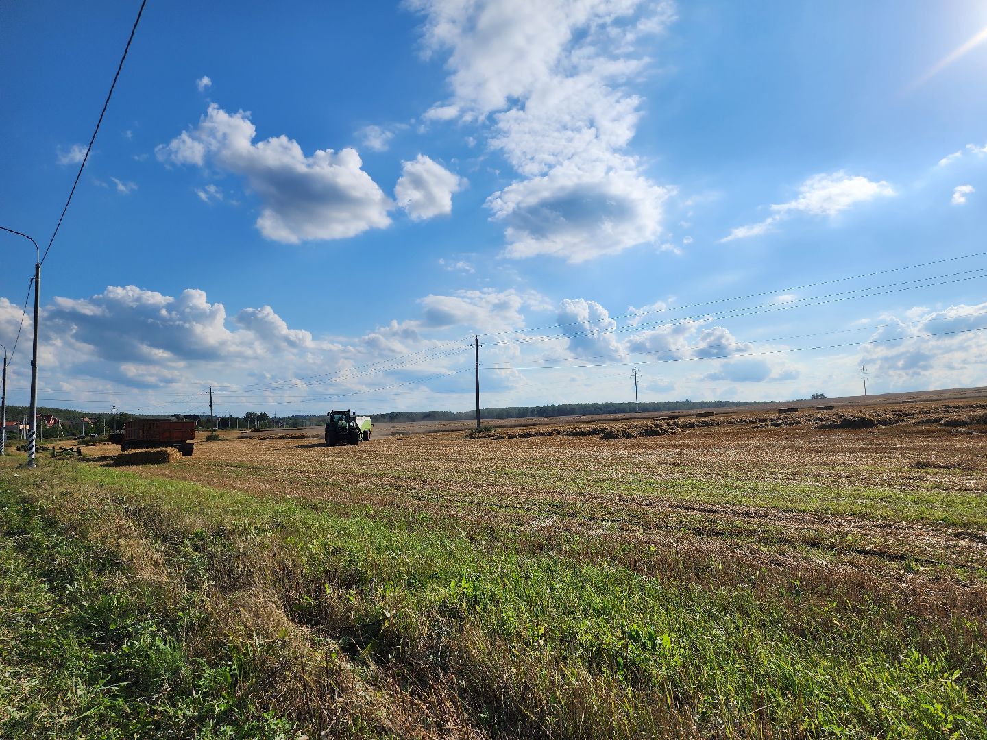 уборка озимых, Барыбино, Домодедово